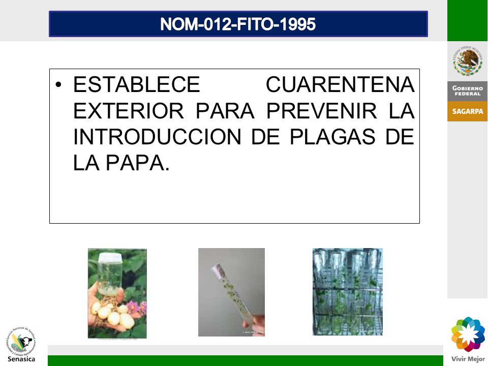 NOM-012-FITO-1995 ESTABLECE CUARENTENA EXTERIOR PARA PREVENIR LA INTRODUCCION DE PLAGAS DE LA PAPA.