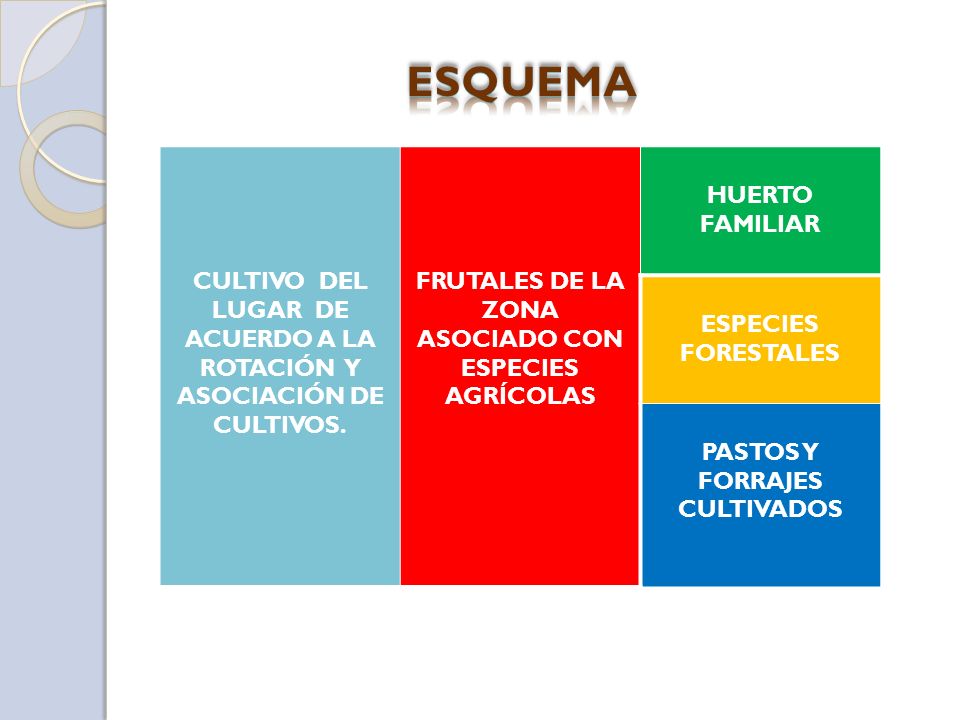 ESQUEMA CULTIVO DEL LUGAR DE ACUERDO A LA ROTACIÓN Y ASOCIACIÓN DE CULTIVOS. FRUTALES DE LA ZONA ASOCIADO CON ESPECIES AGRÍCOLAS.