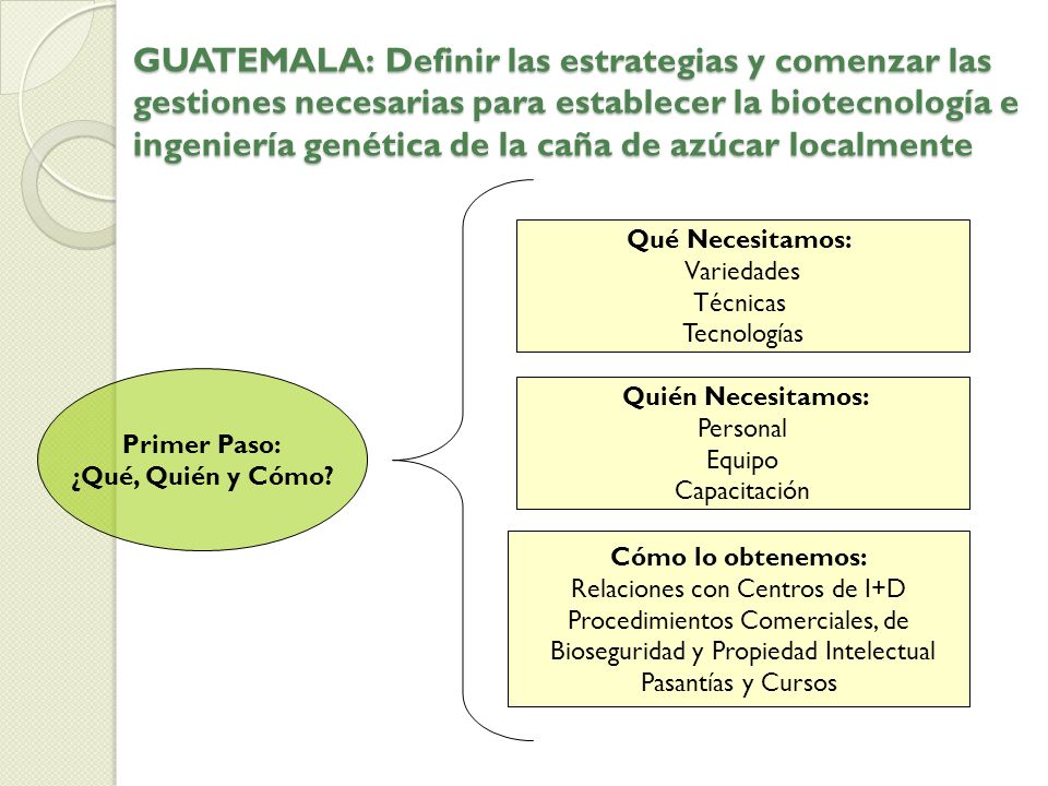 GUATEMALA: Definir las estrategias y comenzar las gestiones necesarias para establecer la biotecnología e ingeniería genética de la caña de azúcar localmente