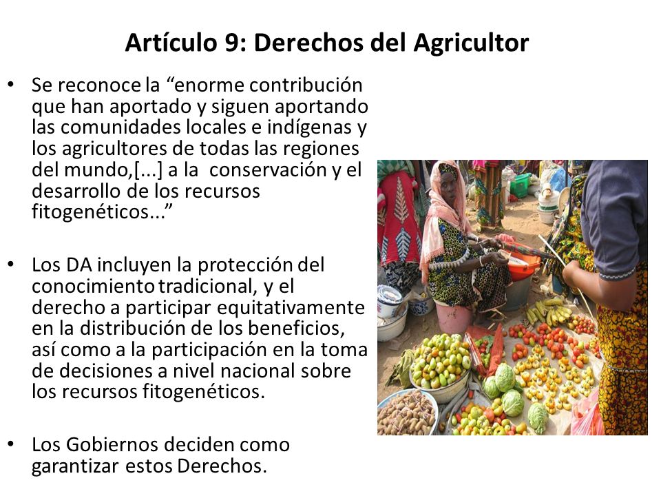 Artículo 9: Derechos del Agricultor