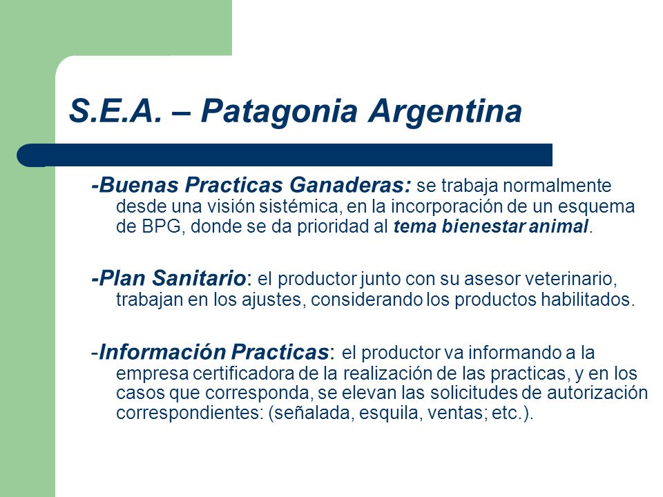 S.E.A. – Patagonia Argentina
