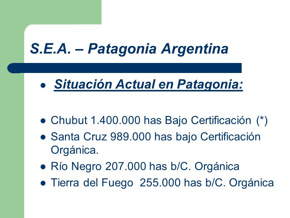 S.E.A. – Patagonia Argentina