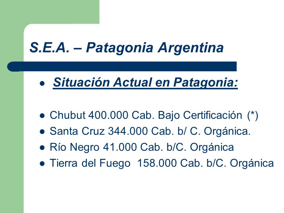 S.E.A. – Patagonia Argentina