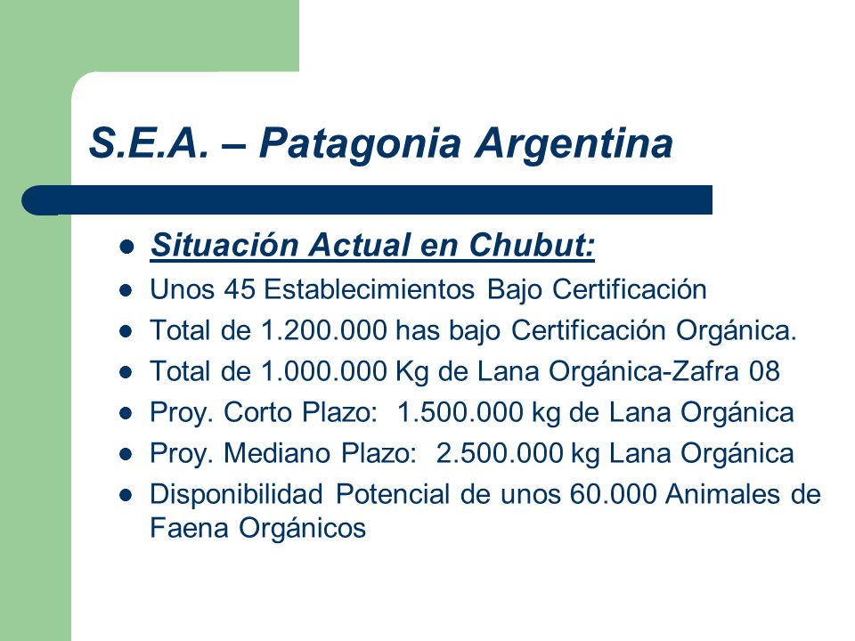 S.E.A. – Patagonia Argentina