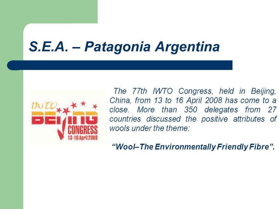 S.E.A. – Patagonia Argentina