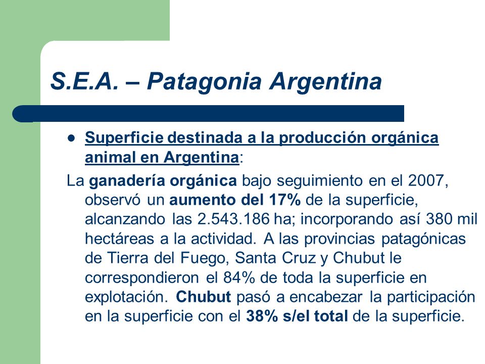 S.E.A. – Patagonia Argentina