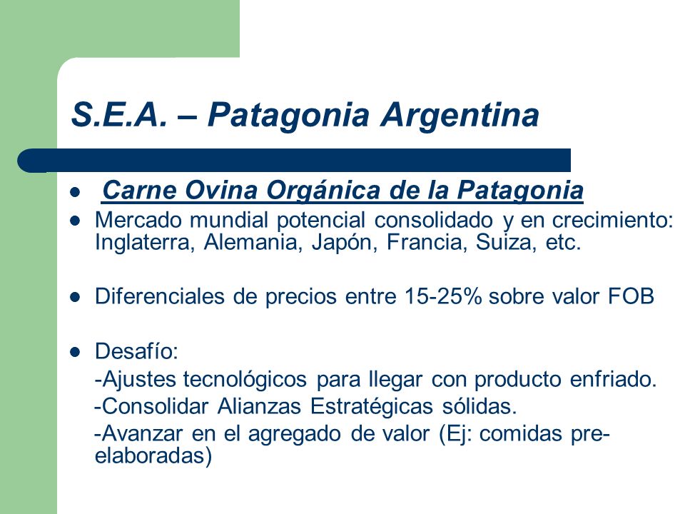 S.E.A. – Patagonia Argentina