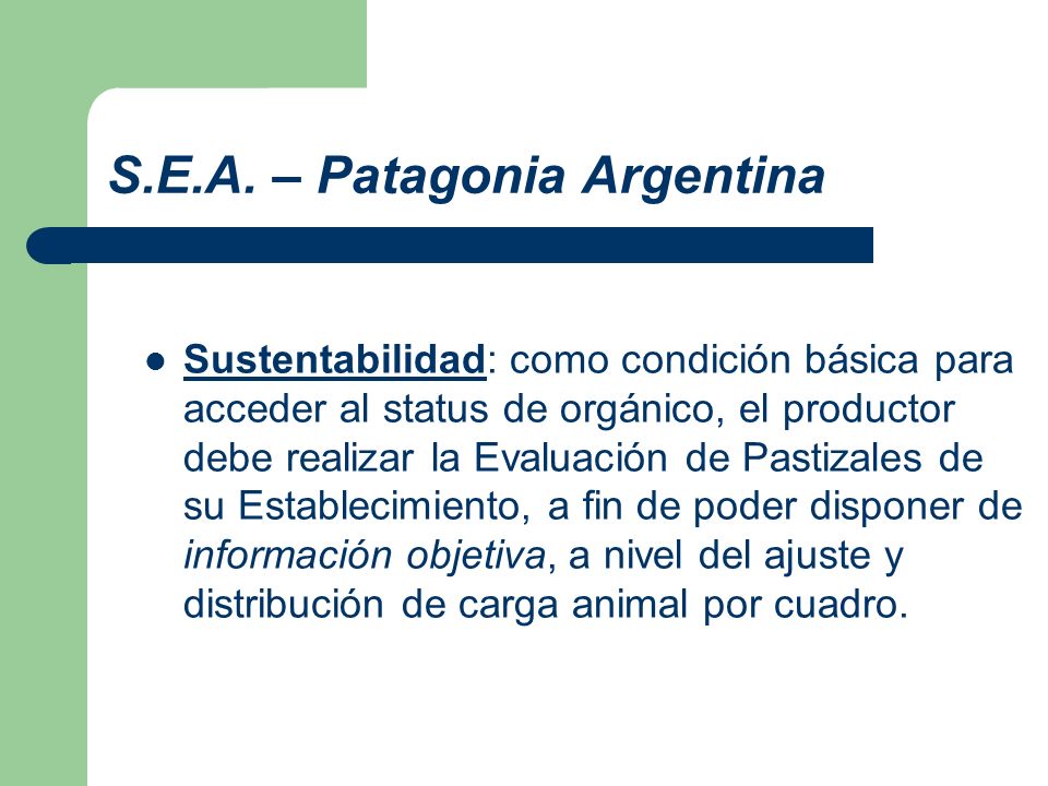 S.E.A. – Patagonia Argentina