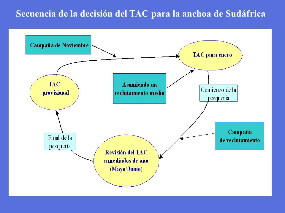 Secuencia de la decisión del TAC para la anchoa de Sudáfrica