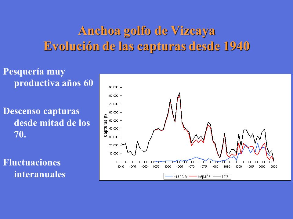 Anchoa golfo de Vizcaya Evolución de las capturas desde 1940