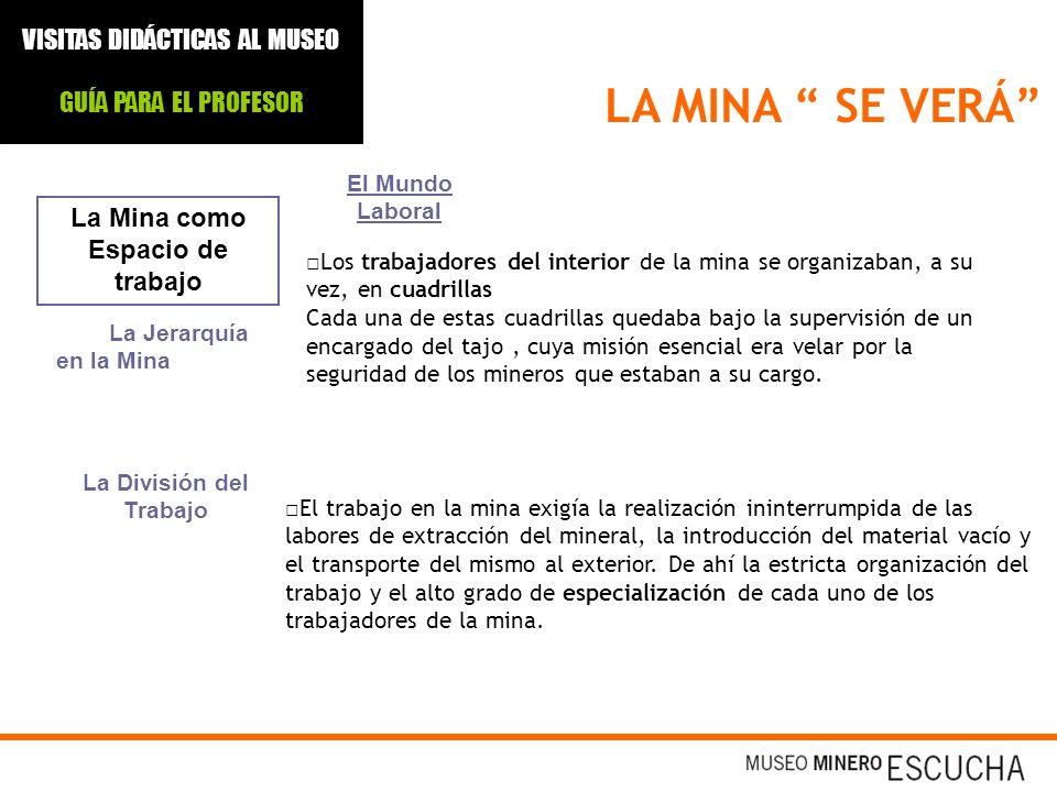 La Mina como Espacio de trabajo La División del Trabajo