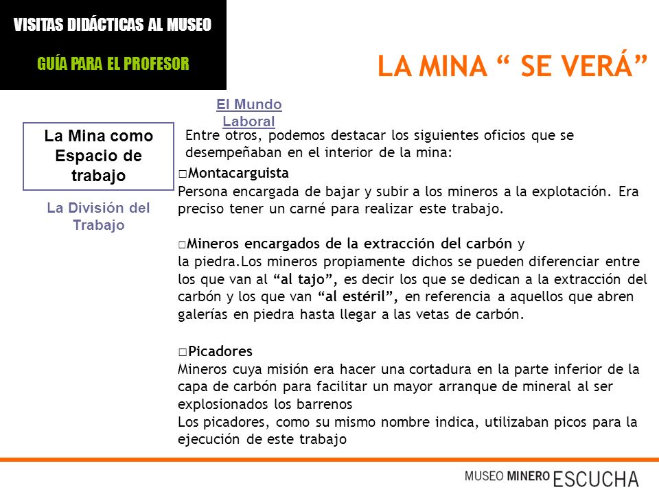 La Mina como Espacio de trabajo La División del Trabajo