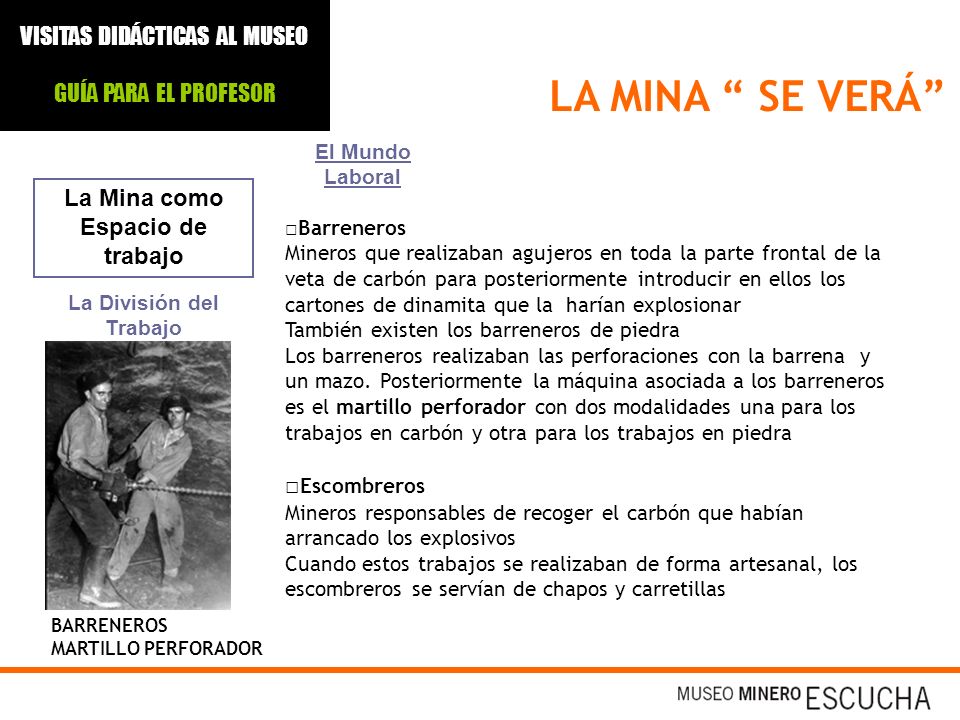La Mina como Espacio de trabajo La División del Trabajo