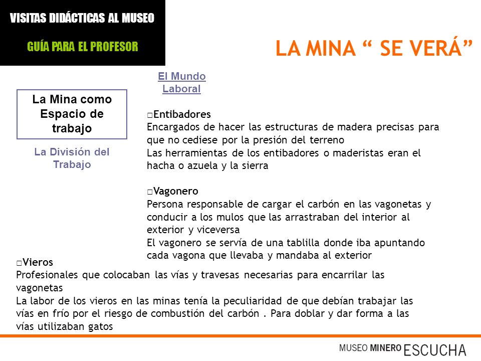 La Mina como Espacio de trabajo La División del Trabajo