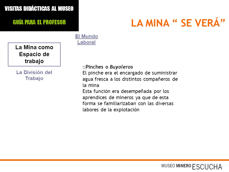 La Mina como Espacio de trabajo La División del Trabajo