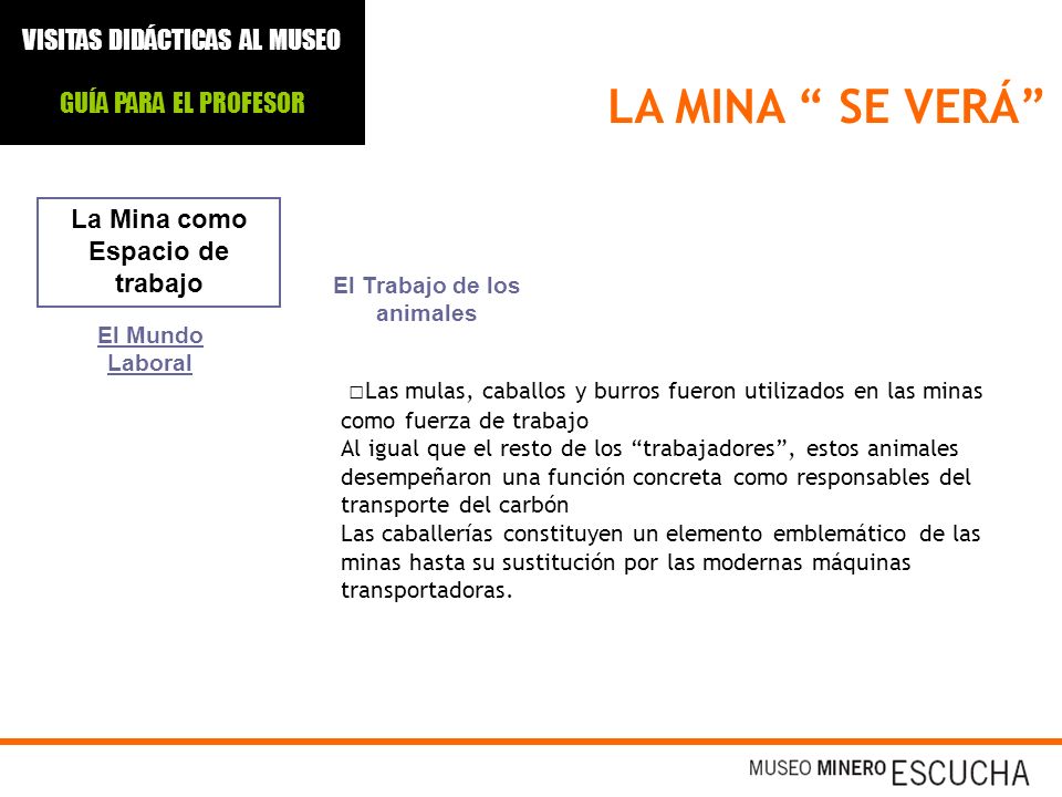La Mina como Espacio de trabajo El Trabajo de los animales
