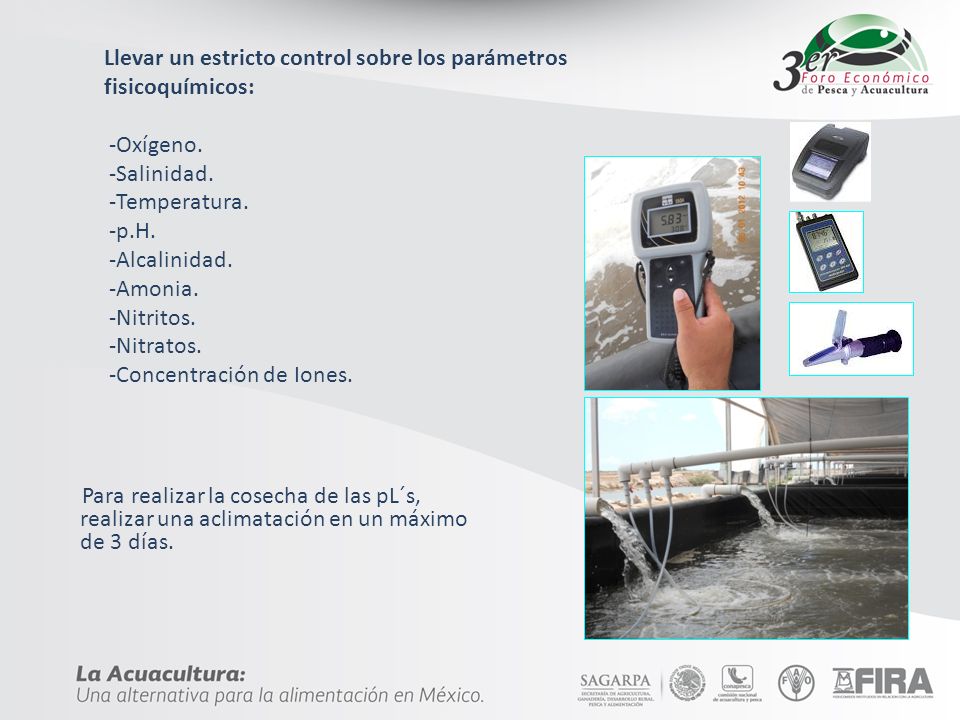 Llevar un estricto control sobre los parámetros fisicoquímicos: -Oxígeno. -Salinidad. -Temperatura. -p.H. -Alcalinidad. -Amonia. -Nitritos. -Nitratos. -Concentración de Iones.