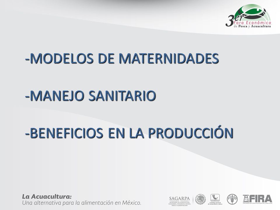 -MODELOS DE MATERNIDADES