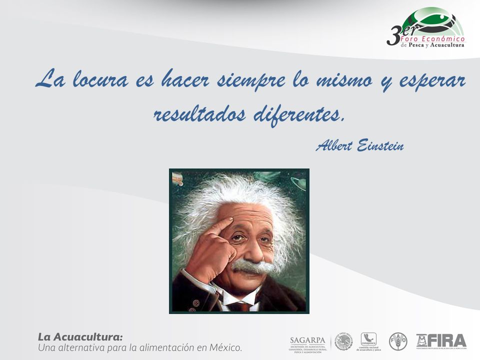 La locura es hacer siempre lo mismo y esperar resultados diferentes.