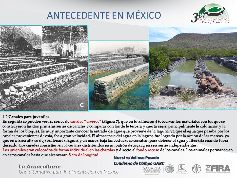 ANTECEDENTE EN MÉXICO Nuestro Valioso Pasado Cuaderno de Campo UABC