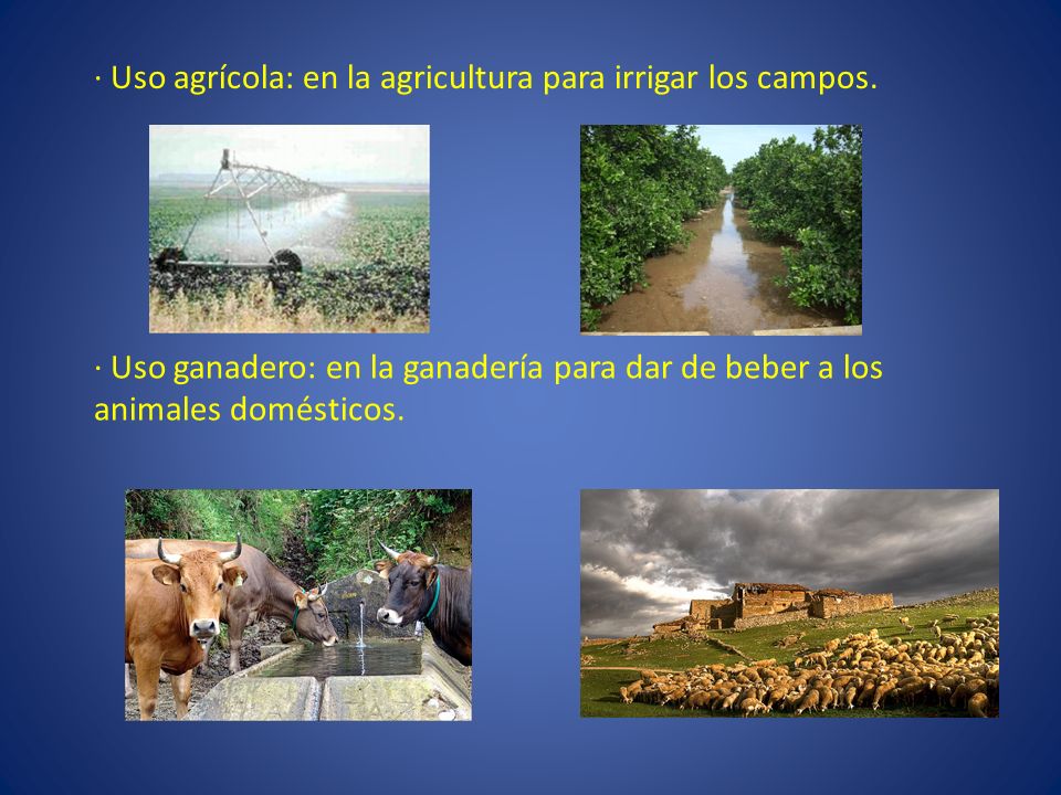 · Uso agrícola: en la agricultura para irrigar los campos.