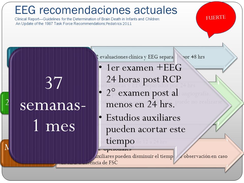 EEG recomendaciones actuales Clinical Report—Guidelines for the Determination of Brain Death in Infants and Children: An Update of the 1987 Task Force Recommendations;Pediatrics 2011