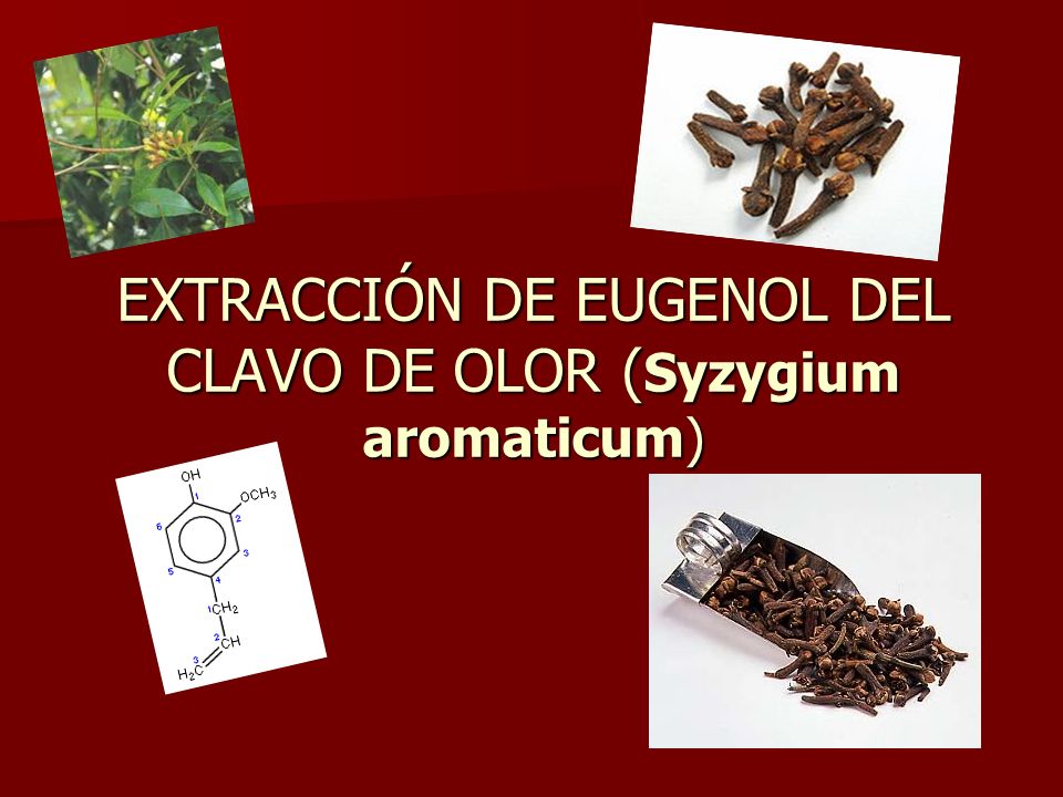 EXTRACCIÓN DE EUGENOL DEL CLAVO DE OLOR (Syzygium aromaticum)