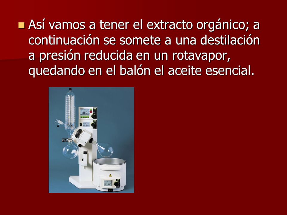 Así vamos a tener el extracto orgánico; a continuación se somete a una destilación a presión reducida en un rotavapor, quedando en el balón el aceite esencial.