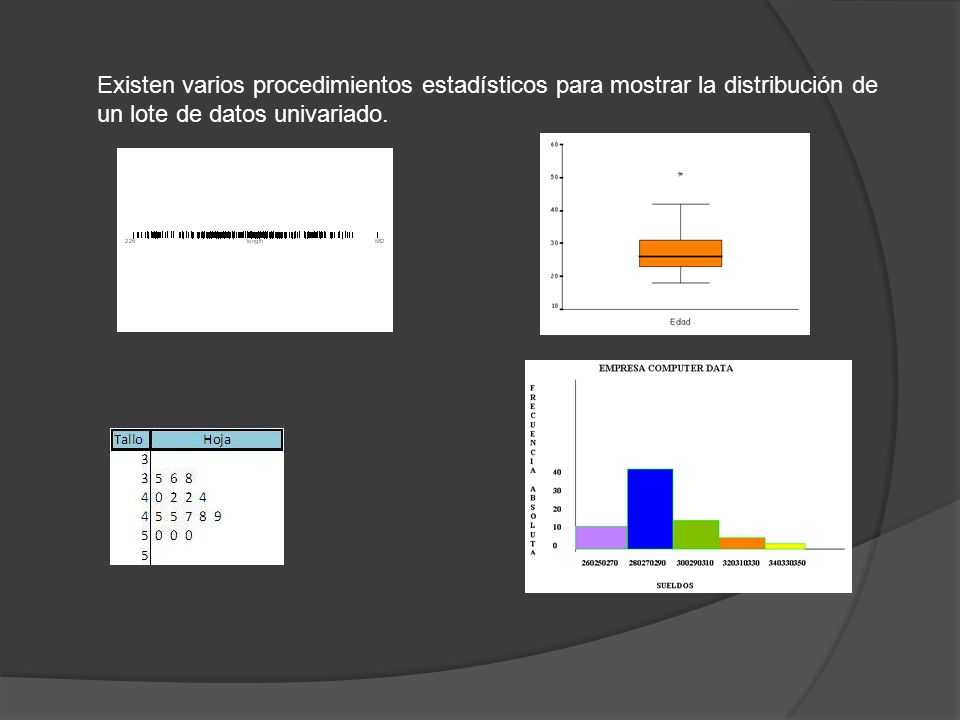 Existen varios procedimientos estadísticos para mostrar la distribución de un lote de datos univariado.