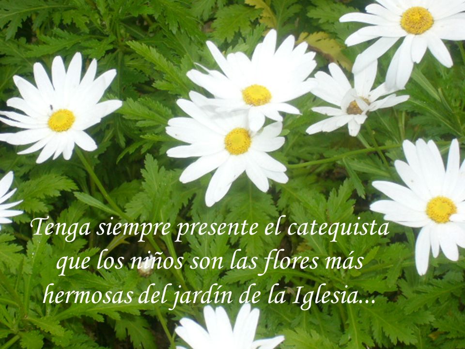 Tenga siempre presente el catequista que los niños son las flores más hermosas del jardín de la Iglesia...