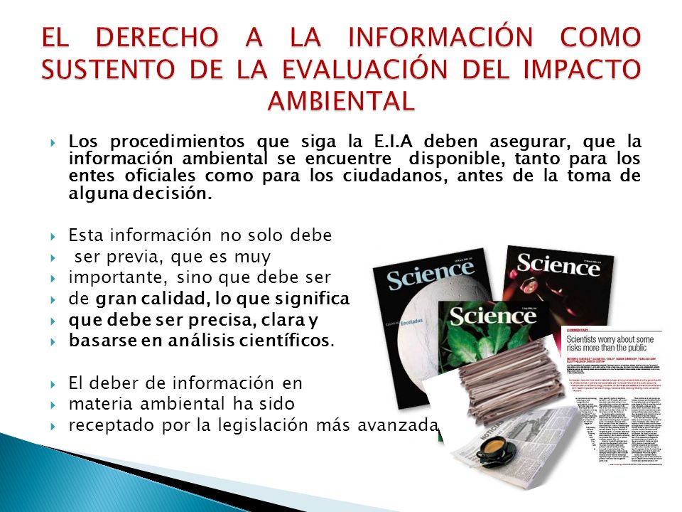 EL DERECHO A LA INFORMACIÓN COMO SUSTENTO DE LA EVALUACIÓN DEL IMPACTO AMBIENTAL