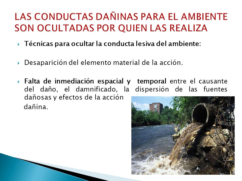 LAS CONDUCTAS DAÑINAS PARA EL AMBIENTE SON OCULTADAS POR QUIEN LAS REALIZA