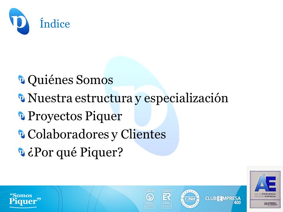 Nuestra estructura y especialización Proyectos Piquer