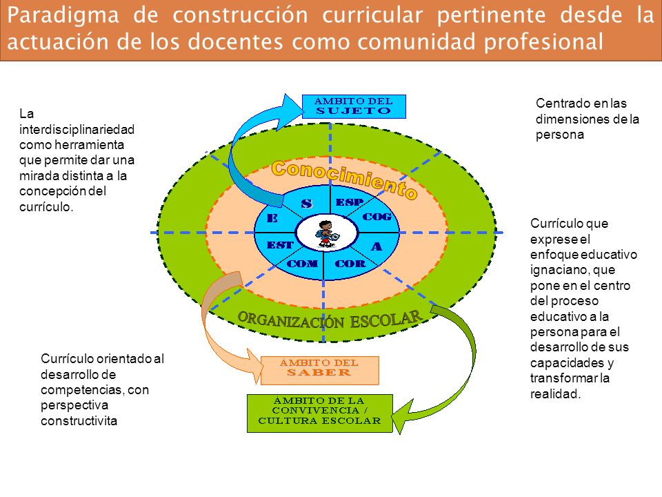 Paradigma de construcción curricular pertinente desde la actuación de los docentes como comunidad profesional