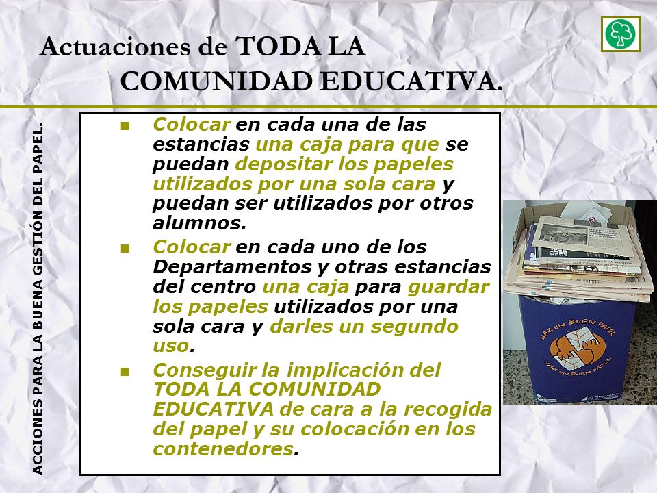 Actuaciones de TODA LA COMUNIDAD EDUCATIVA.