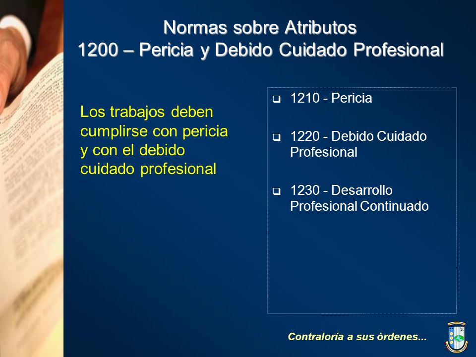 Normas sobre Atributos 1200 – Pericia y Debido Cuidado Profesional