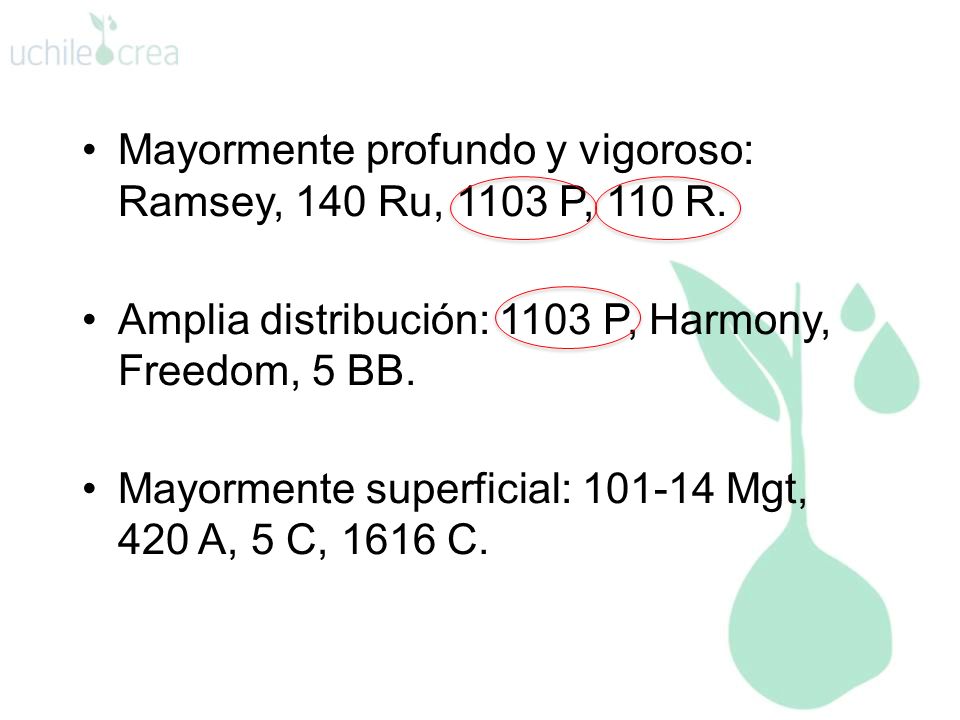 Mayormente profundo y vigoroso: Ramsey, 140 Ru, 1103 P, 110 R.
