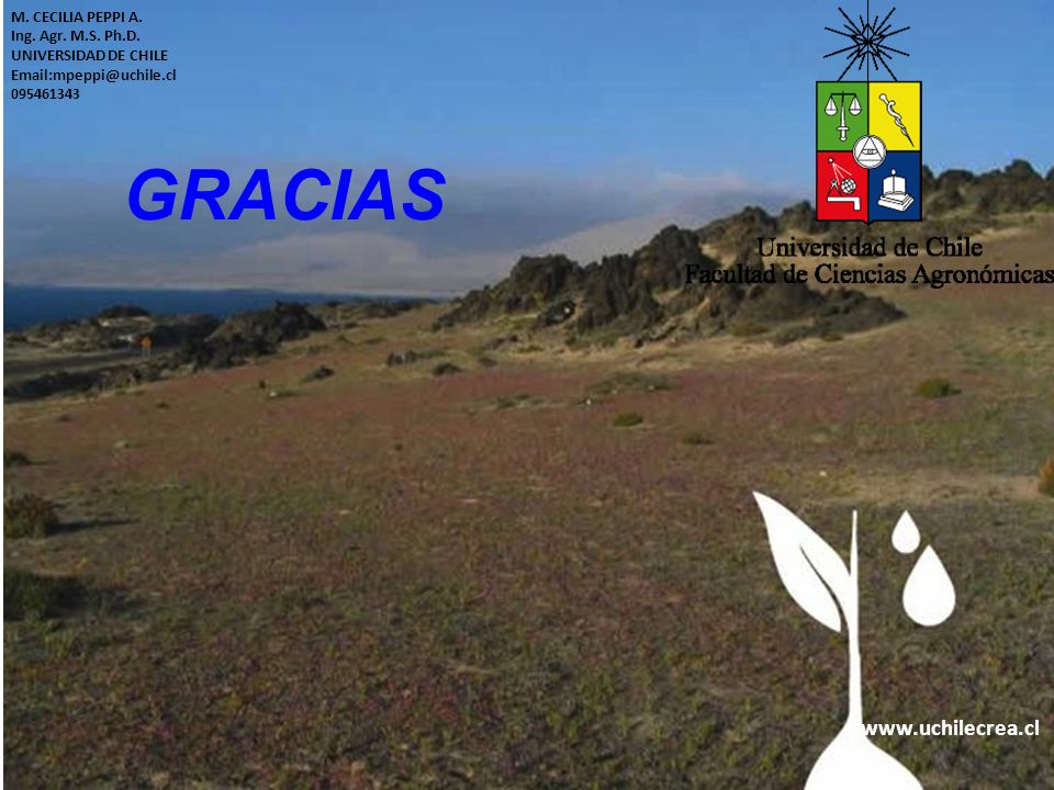GRACIAS   M. CECILIA PEPPI A. Ing. Agr. M.S. Ph.D.