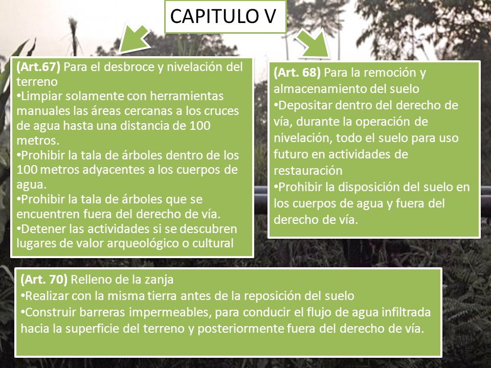 CAPITULO V (Art.67) Para el desbroce y nivelación del terreno