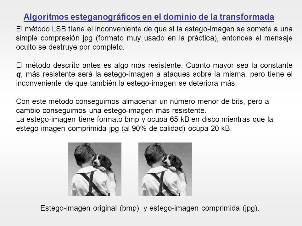 Algoritmos esteganográficos en el dominio de la transformada