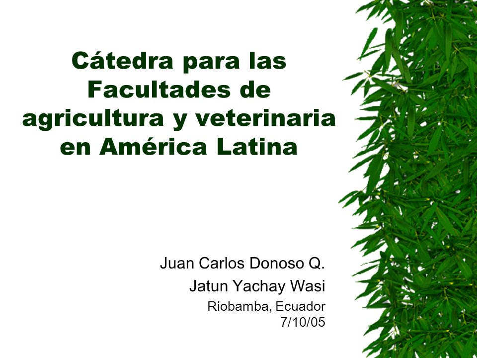 Juan Carlos Donoso Q. Jatun Yachay Wasi Riobamba, Ecuador 7/10/05