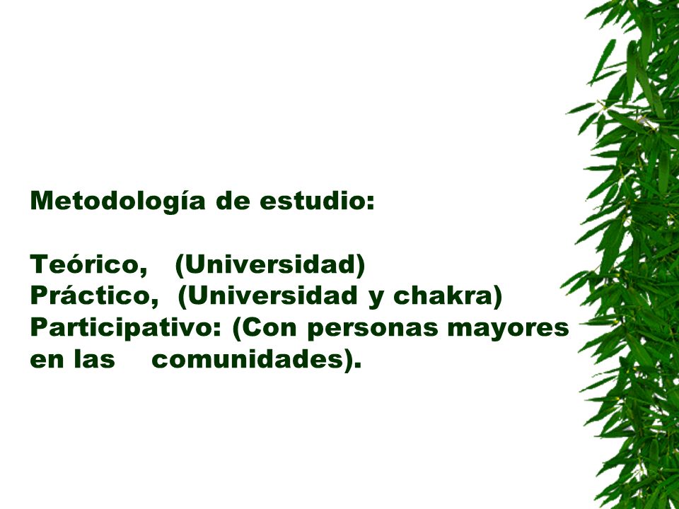 Metodología de estudio: Teórico, (Universidad) Práctico, (Universidad y chakra) Participativo: (Con personas mayores en las comunidades).