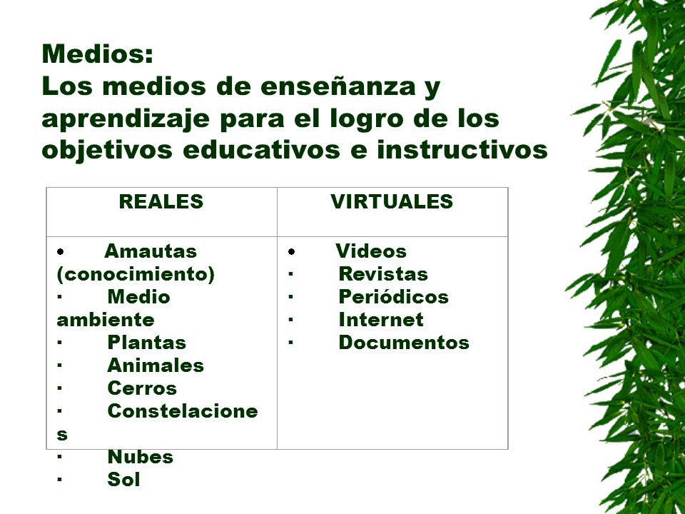 Medios: Los medios de enseñanza y aprendizaje para el logro de los objetivos educativos e instructivos.