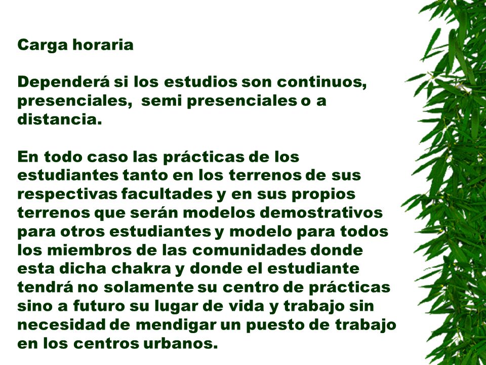 Carga horaria Dependerá si los estudios son continuos, presenciales, semi presenciales o a distancia.