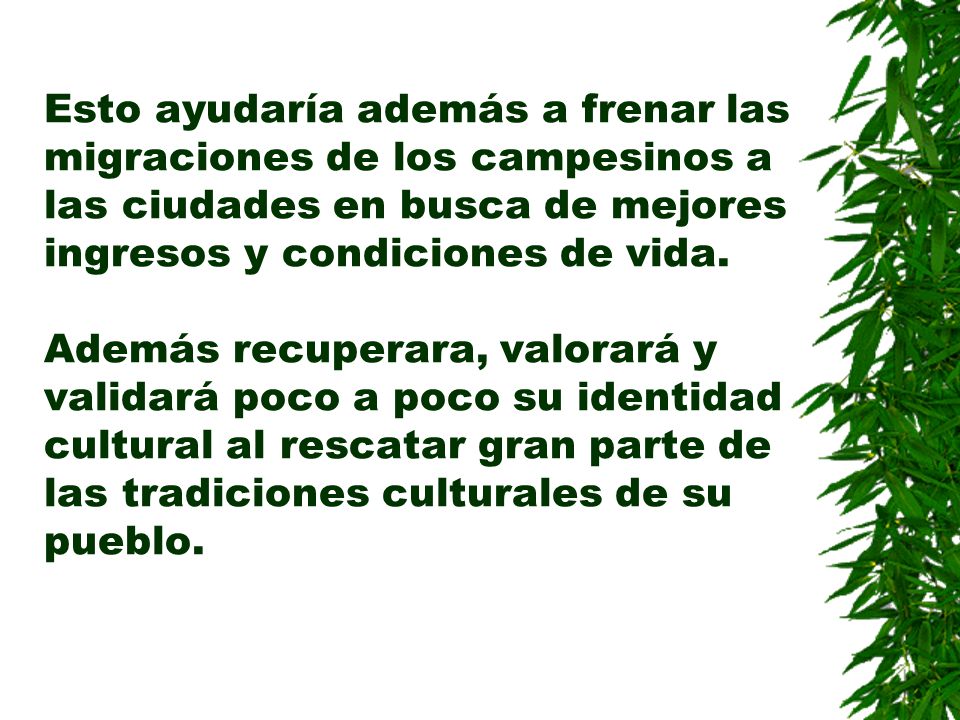 Esto ayudaría además a frenar las migraciones de los campesinos a las ciudades en busca de mejores ingresos y condiciones de vida.