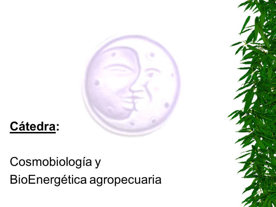 Cátedra: Cosmobiología y BioEnergética agropecuaria