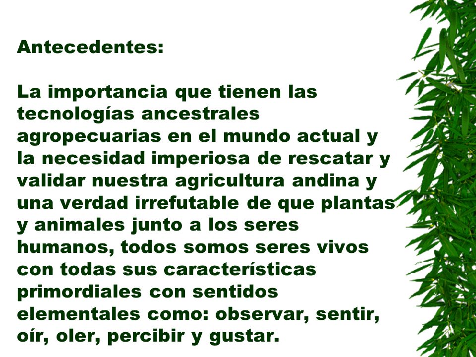 Antecedentes: La importancia que tienen las tecnologías ancestrales agropecuarias en el mundo actual y la necesidad imperiosa de rescatar y validar nuestra agricultura andina y una verdad irrefutable de que plantas y animales junto a los seres humanos, todos somos seres vivos con todas sus características primordiales con sentidos elementales como: observar, sentir, oír, oler, percibir y gustar.