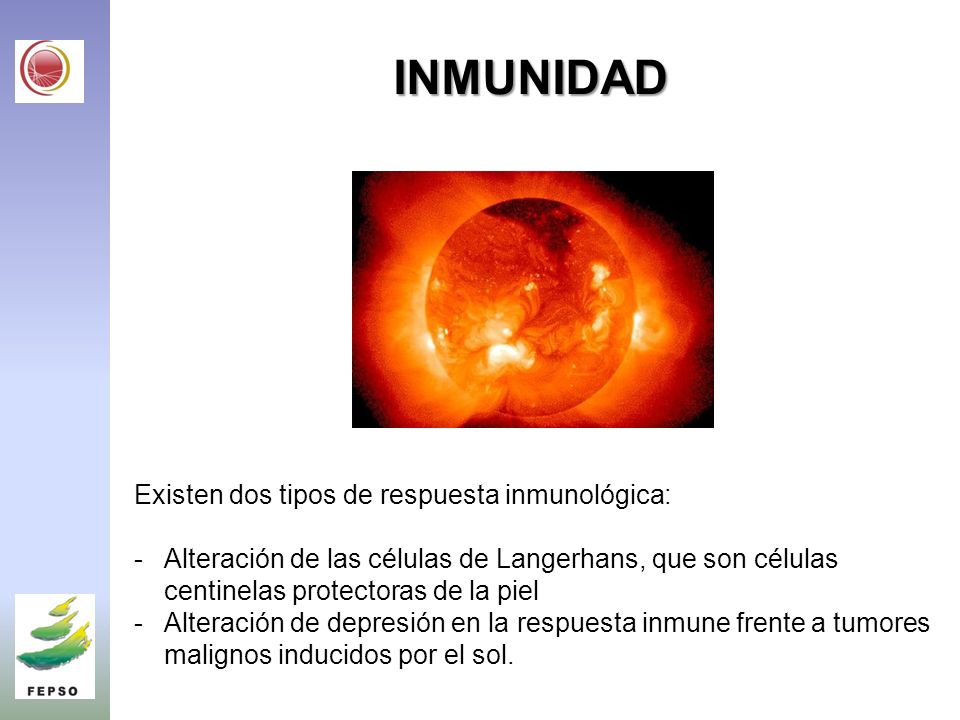 INMUNIDAD Existen dos tipos de respuesta inmunológica: