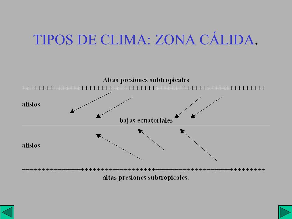 TIPOS DE CLIMA: ZONA CÁLIDA.