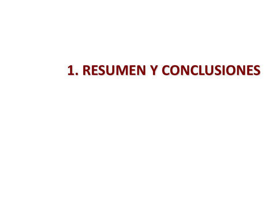 1. RESUMEN Y CONCLUSIONES